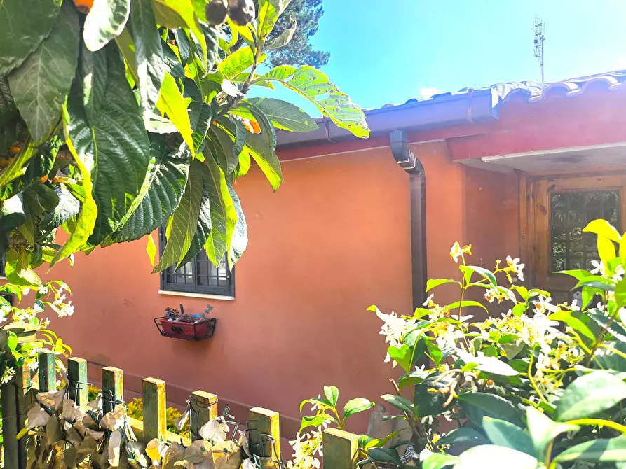 Immagine 19 di Capannone industriale in vendita  a Roma