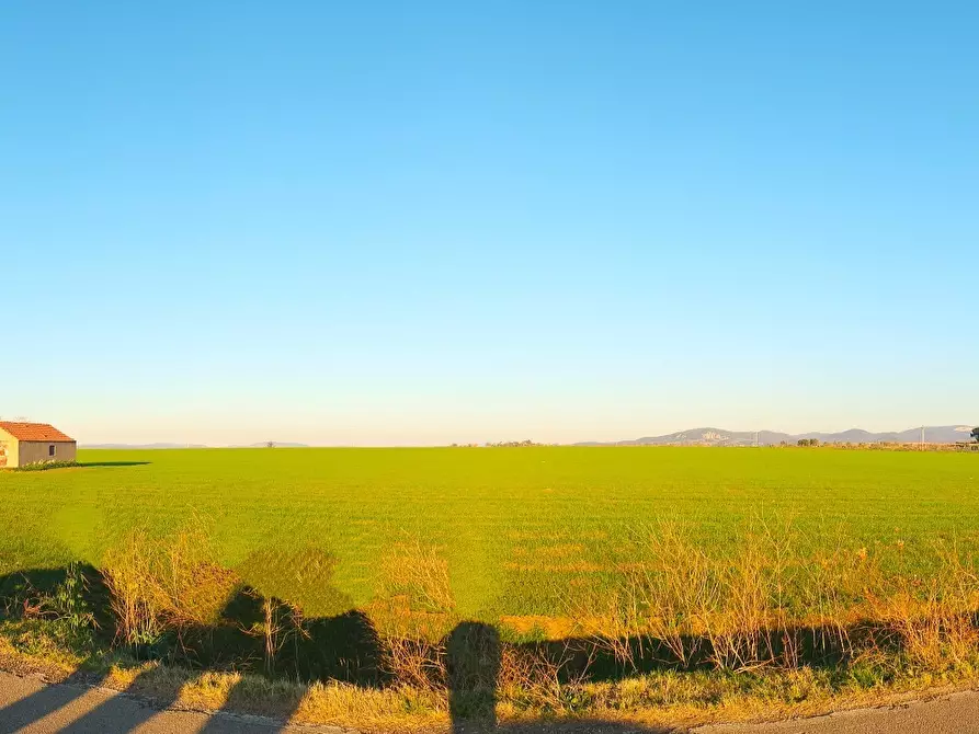 Immagine 9 di Terreno industriale in vendita  a Tarquinia