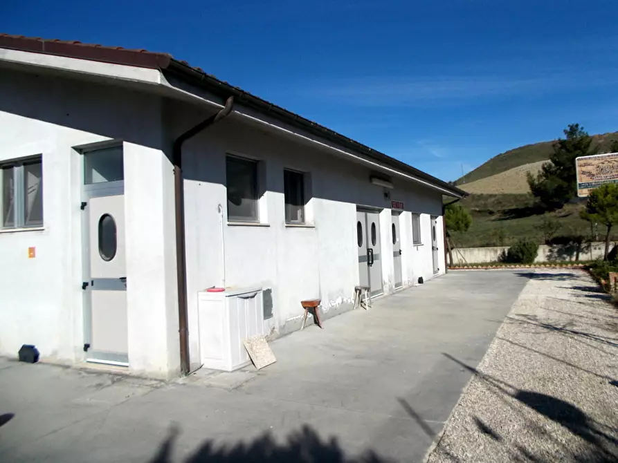 Immagine 3 di Laboratorio in vendita  a Maltignano