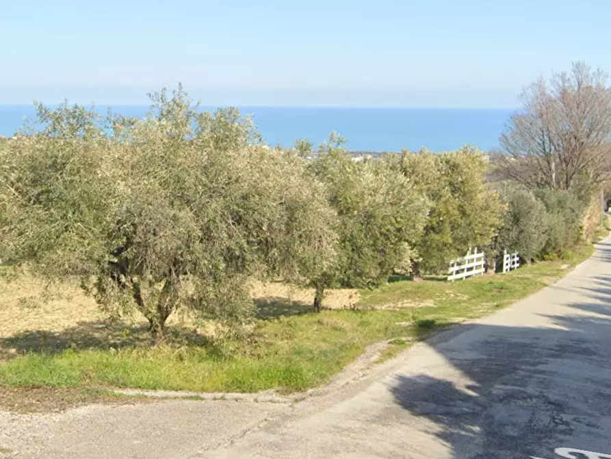 Immagine 1 di Terreno edificabile in vendita  a Colonnella