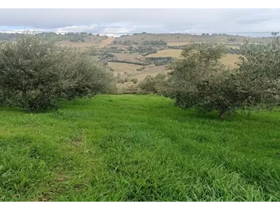 Immagine 16 di Casa indipendente in vendita  a San Benedetto Del Tronto