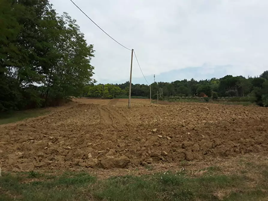 Immagine 7 di Agriturismo in vendita  a Offagna