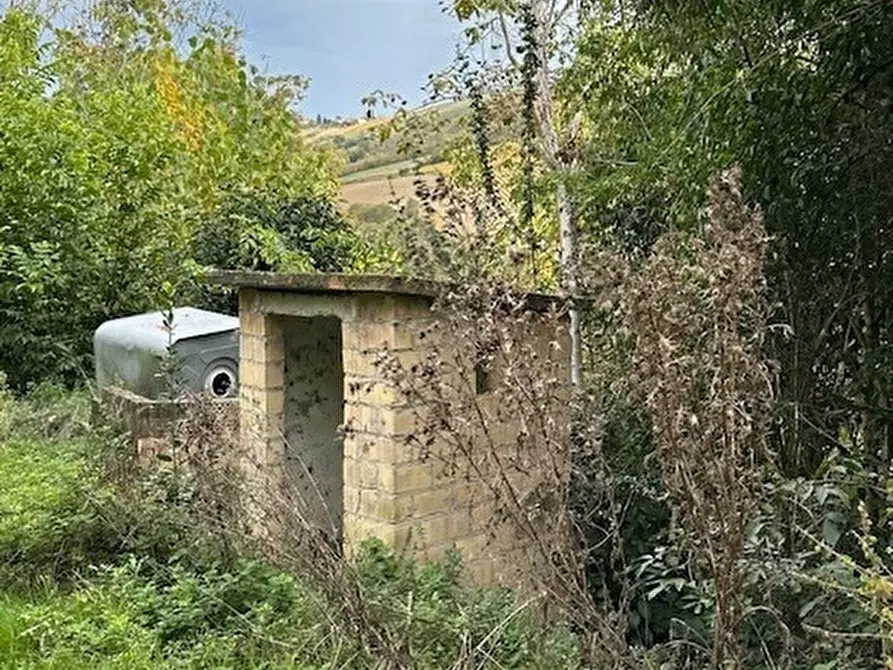 Immagine 7 di Rustico / casale in vendita  a Ripatransone