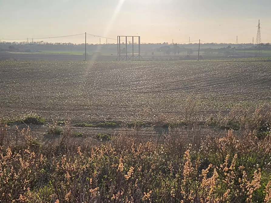 Immagine 9 di Terreno industriale in vendita  a Tarquinia