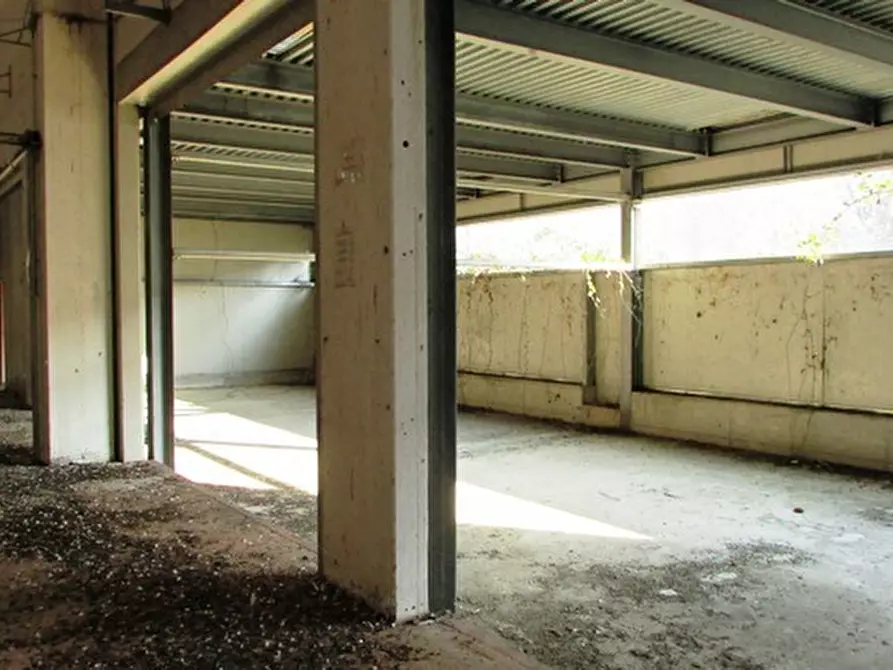 Immagine 28 di Capannone industriale in affitto  a Colonnella