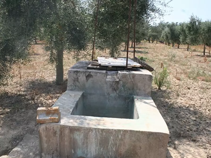 Immagine 14 di Terreno agricolo in vendita  in contrada mandrò a Cutrofiano