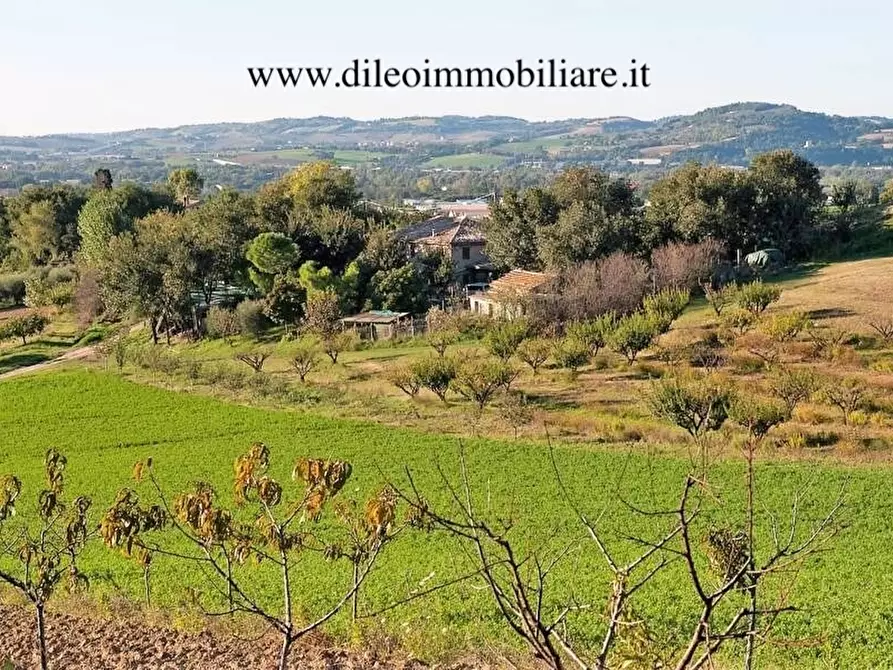 Immagine 2 di Terreno agricolo in vendita  a Pesaro