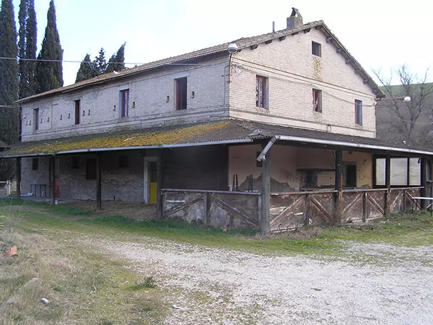 Immagine 4 di Attività commerciale in vendita  in Via Menocchia a Montefiore Dell'aso