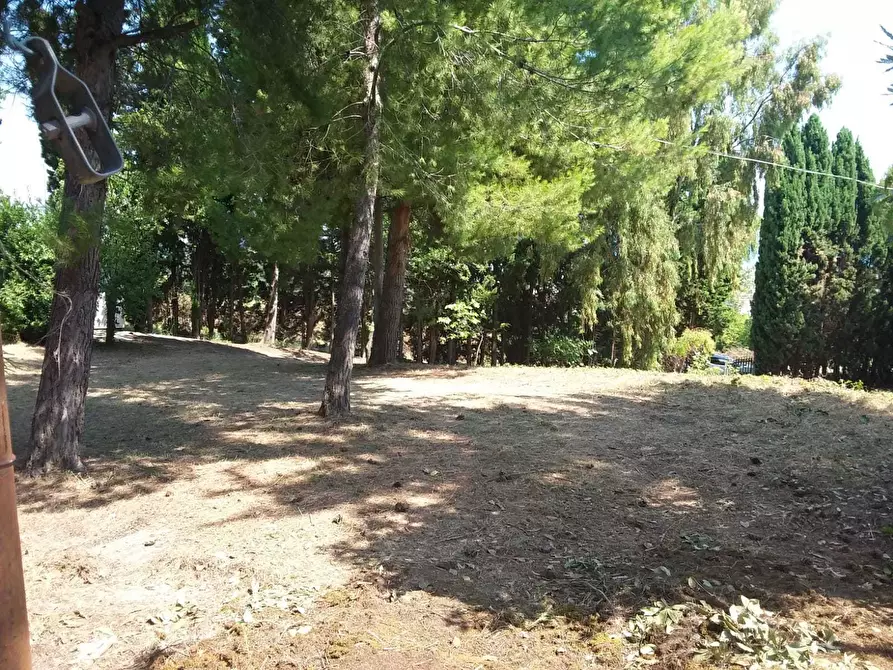 Immagine 36 di Casa indipendente in vendita  a Tortoreto