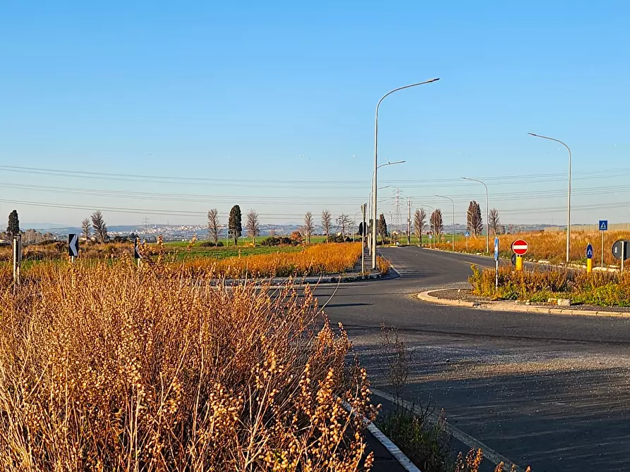 Immagine 4 di Terreno industriale in vendita  a Tarquinia