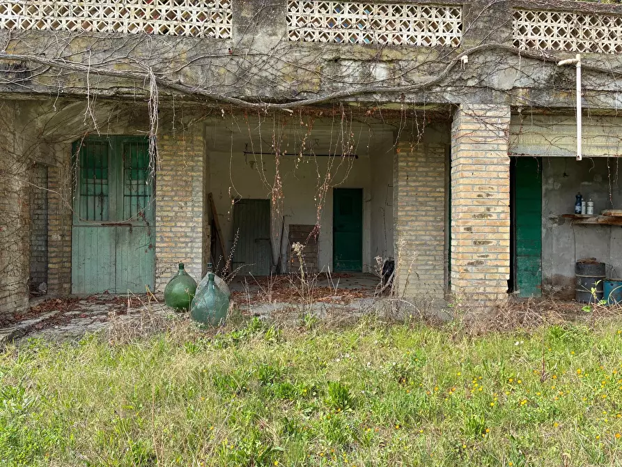 Immagine 33 di Rustico / casale in vendita  a Carassai