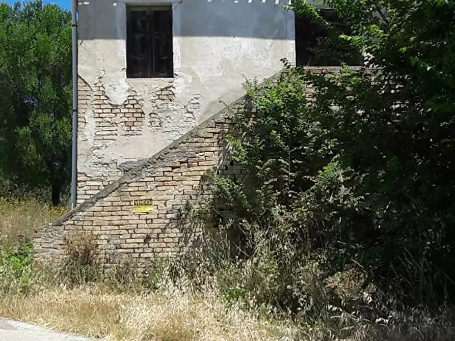 Immagine 17 di Rustico / casale in vendita  in Strada Provinciale 3 868 a Colonnella