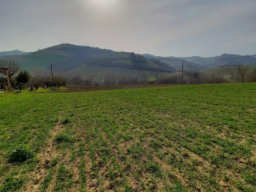 Immagine 30 di Casa indipendente in vendita  a Ripatransone