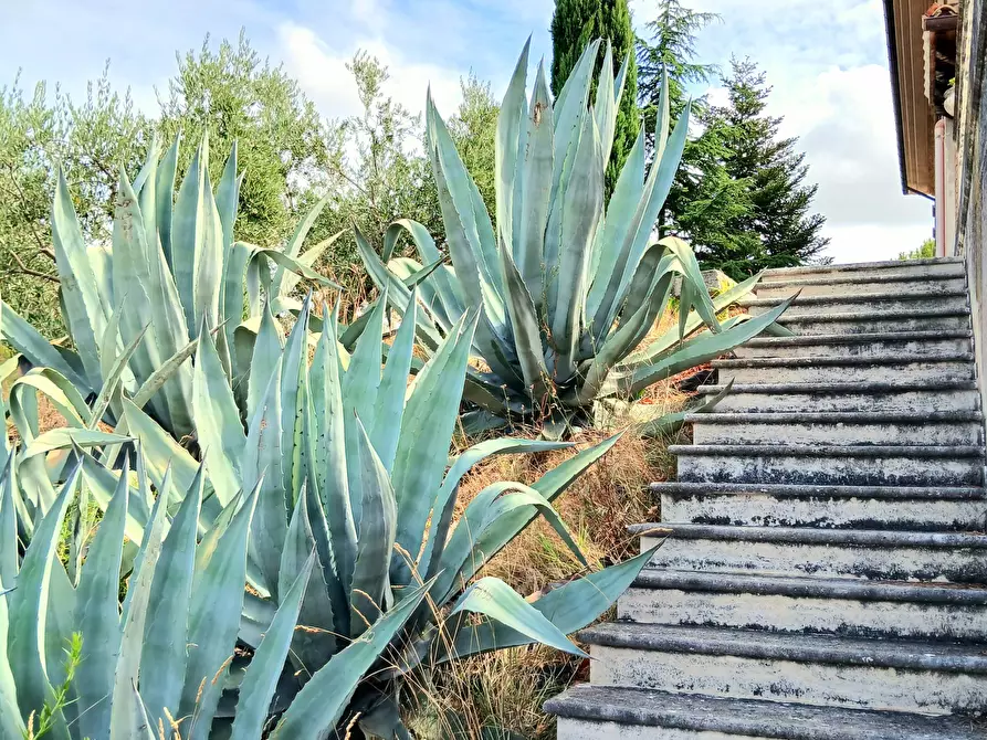 Immagine 45 di Casa indipendente in vendita  a Ancarano