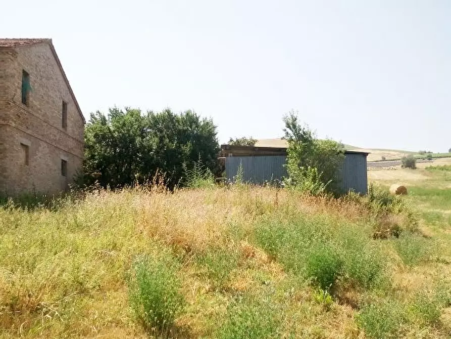 Immagine 5 di Rustico / casale in vendita  a Offida