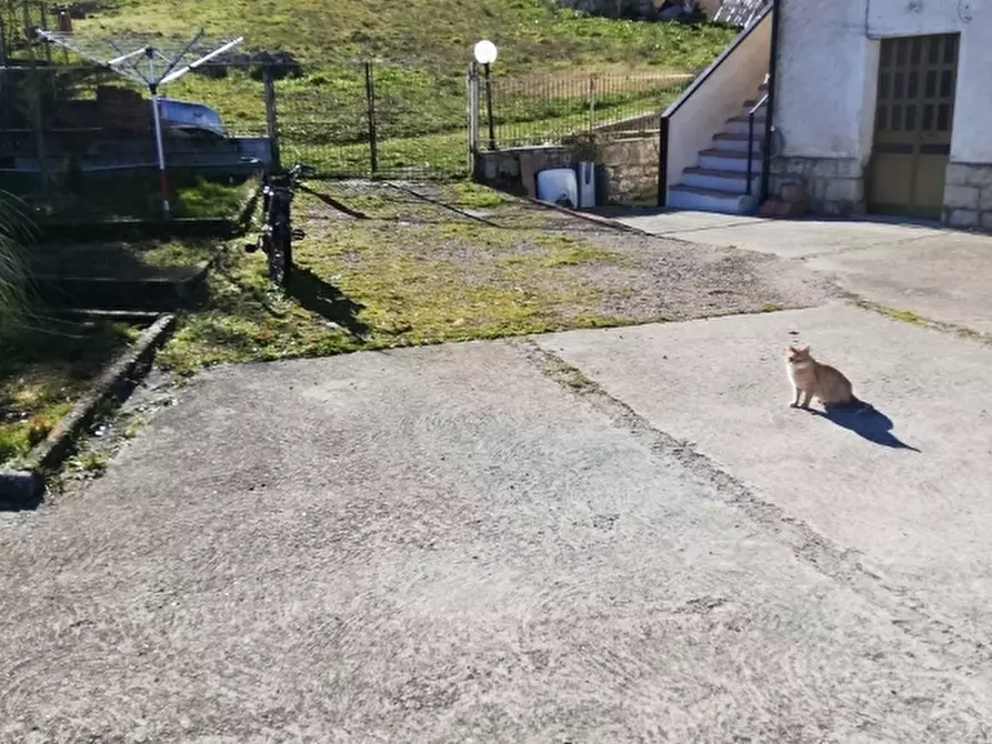 Immagine 3 di Rustico / casale in vendita  a San Fele