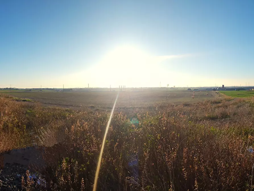 Immagine 7 di Terreno industriale in vendita  a Tarquinia