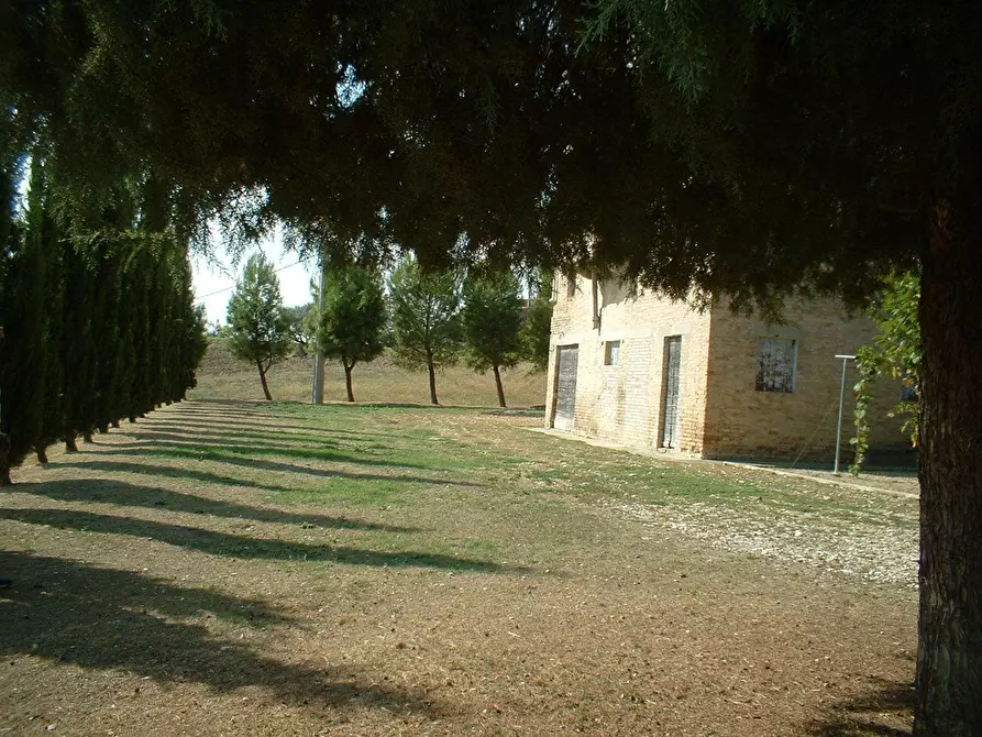 Immagine 20 di Casa indipendente in vendita  a Fermo