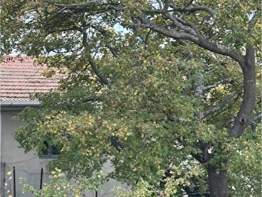 Immagine 15 di Rustico / casale in vendita  a Carassai