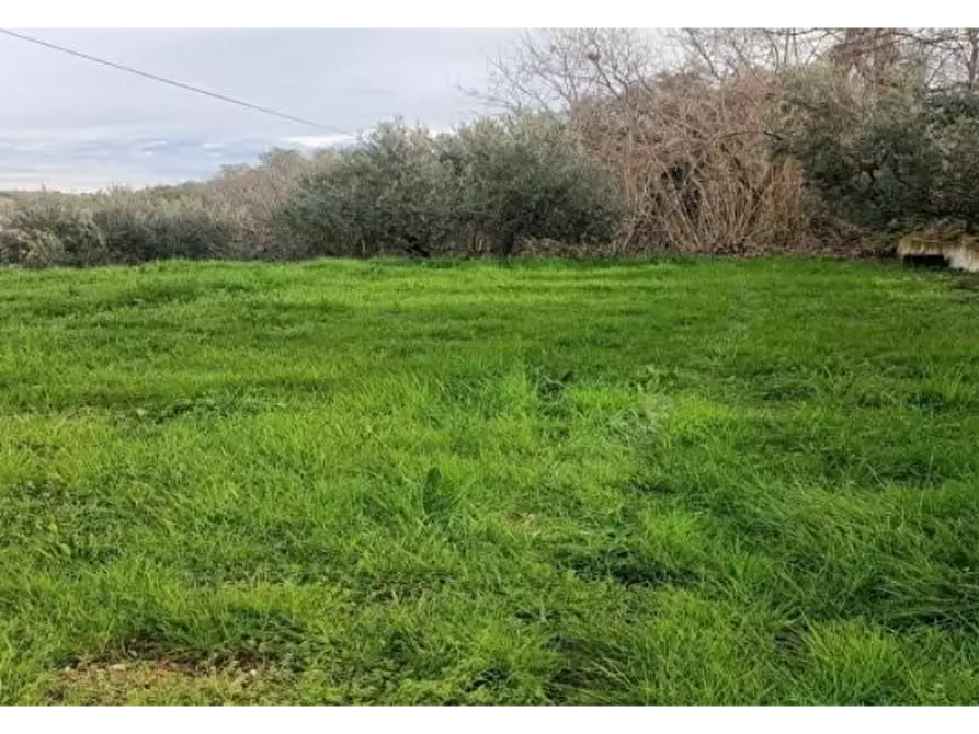 Immagine 18 di Casa indipendente in vendita  a San Benedetto Del Tronto
