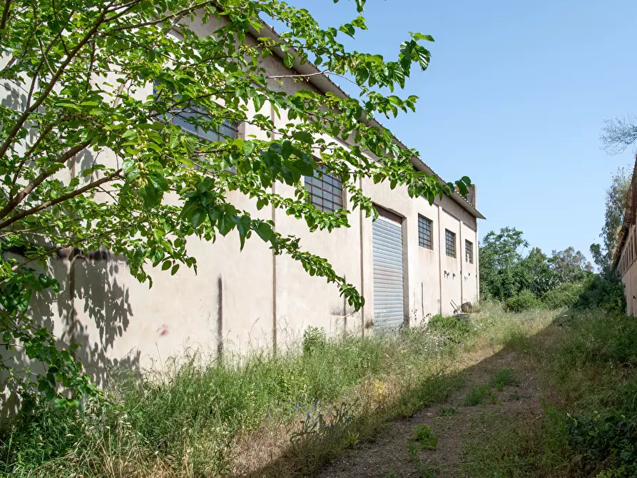 Immagine 4 di Attività artigianale in vendita  a Selargius