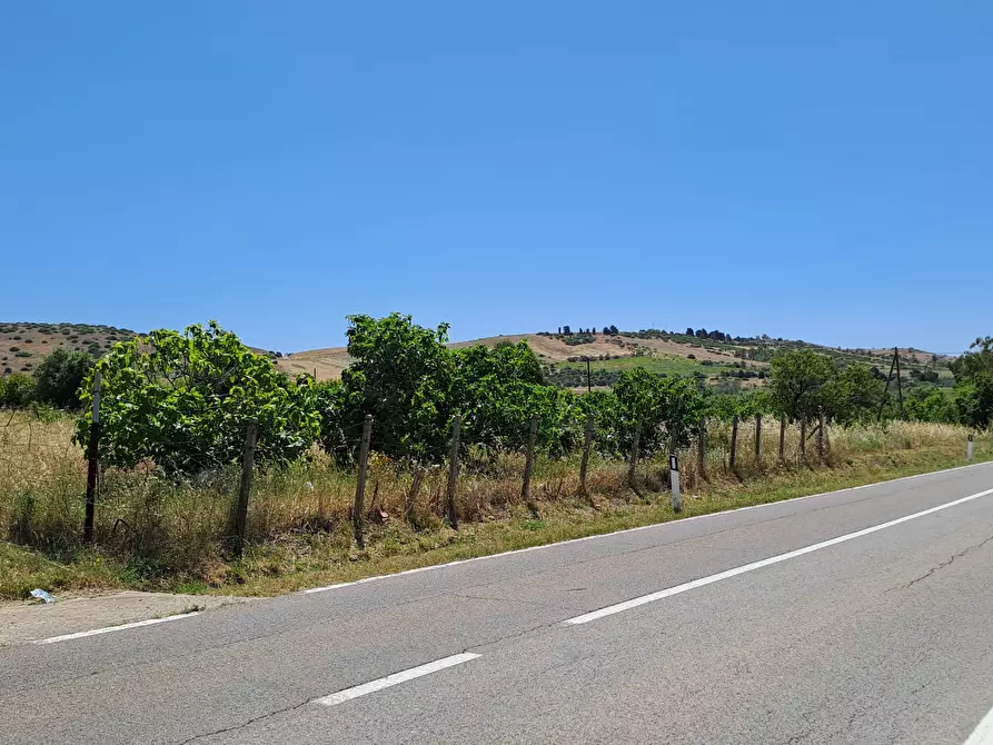 Immagine 3 di Terreno agricolo in vendita  a Settimo San Pietro