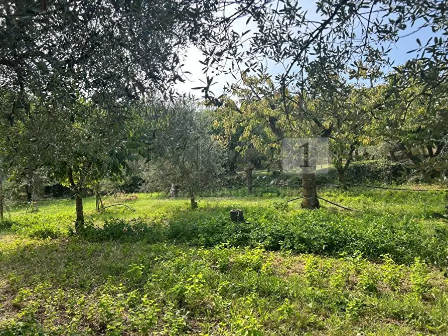 Immagine 9 di Terreno agricolo in vendita  in Via Castellaro a Castegnero