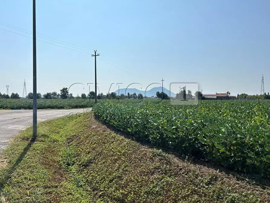 Immagine 12 di Terreno agricolo in vendita  in Via Volpara a Castegnero