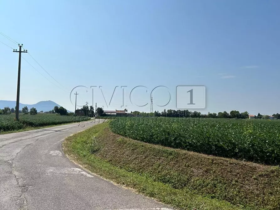 Immagine 16 di Terreno agricolo in vendita  in Via Volpara a Castegnero