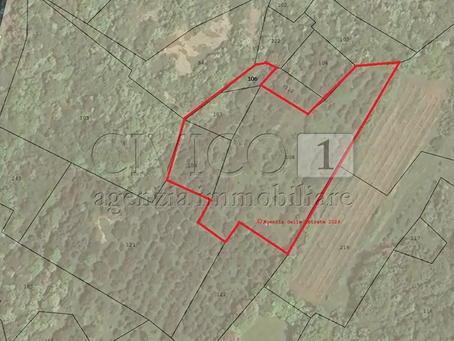 Immagine 19 di Terreno agricolo in vendita  in Via Castellaro a Castegnero