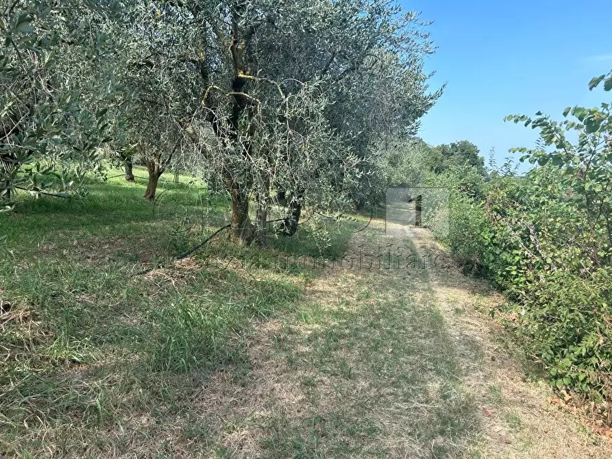 Immagine 5 di Terreno agricolo in vendita  in Via Castellaro a Castegnero