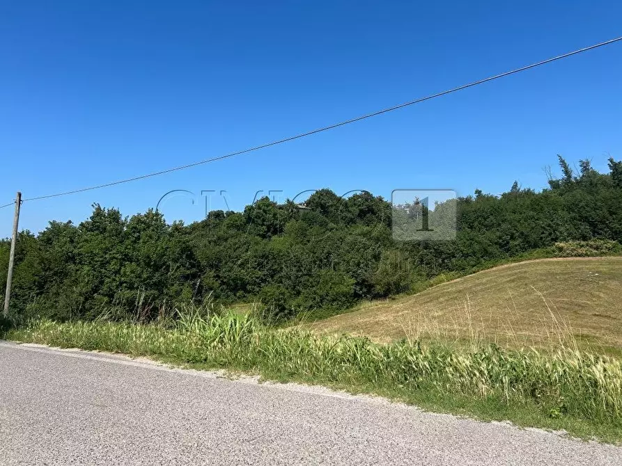 Immagine 23 di Rustico / casale in vendita  in Via Tavella 10 a Barbarano Mossano