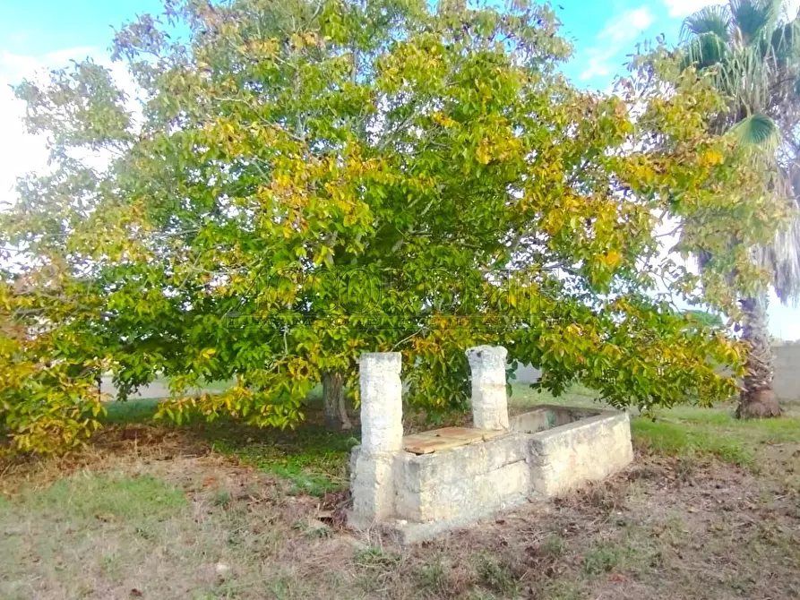Immagine 15 di Casa indipendente in vendita  in Via Passo del Lupo 4 a Matino