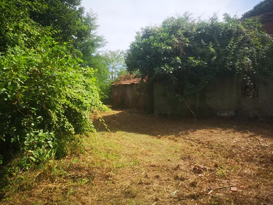 Immagine 14 di Rustico / casale in vendita  in Via Tavolara 59 a Castelnuovo Magra