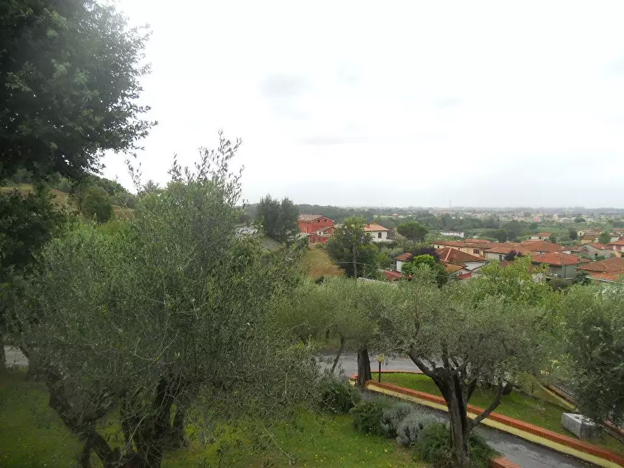 Immagine 17 di Villa in vendita  in Via Palvotrisia 92 a Castelnuovo Magra