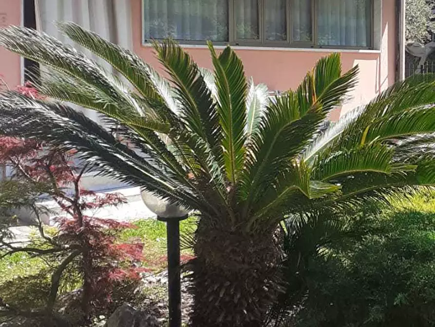 Immagine 7 di Casa semindipendente in vendita  in Viale Galileo Galilei 1261 a Carrara