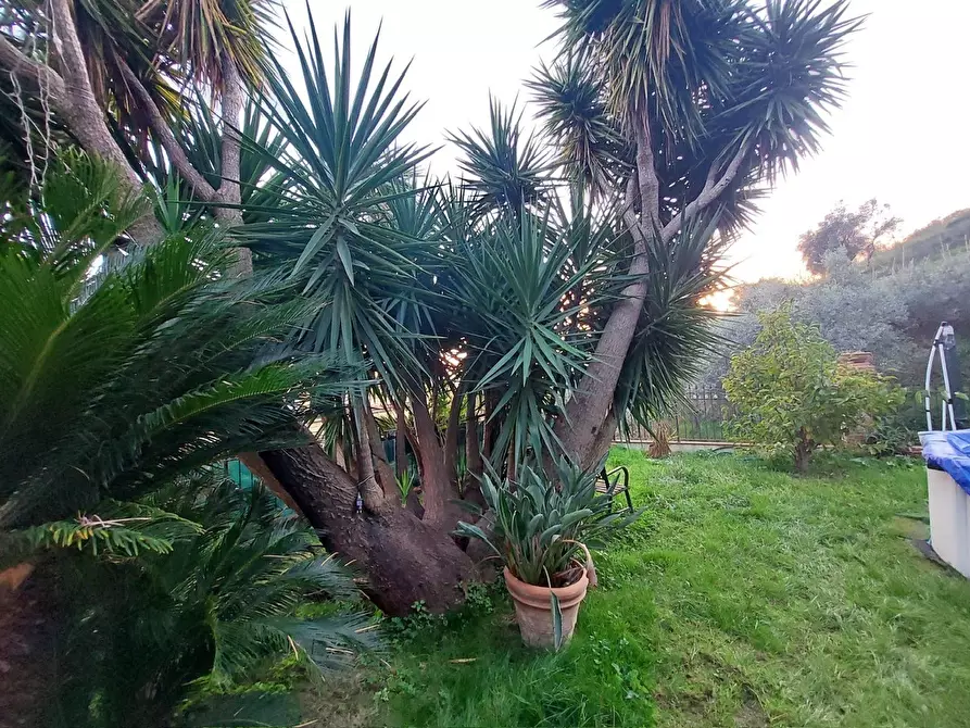 Immagine 30 di Casa semindipendente in vendita  in Via Cavour 15 a Carrara