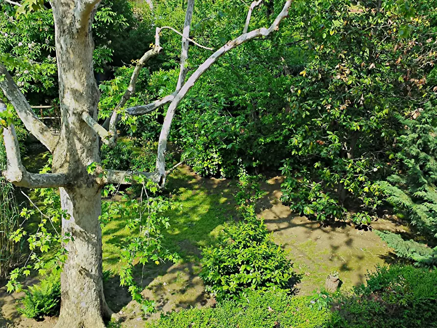 Immagine 8 di Bilocale in affitto  a Bologna