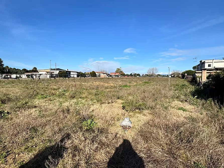 Immagine 6 di Terreno agricolo in vendita  in Via Monte Circeo 21 a San Felice Circeo