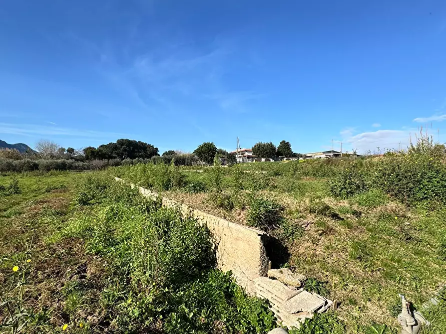 Immagine 10 di Terreno agricolo in vendita  in Via Monte Circeo 21 a San Felice Circeo