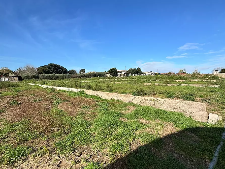 Immagine 14 di Terreno agricolo in vendita  in Via Monte Circeo 21 a San Felice Circeo