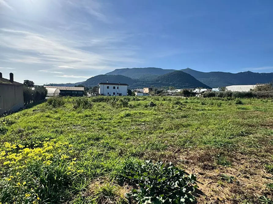 Immagine 8 di Terreno agricolo in vendita  in Via Monte Circeo 21 a San Felice Circeo