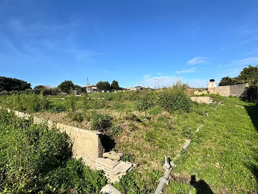 Immagine 12 di Terreno agricolo in vendita  in Via Monte Circeo 21 a San Felice Circeo