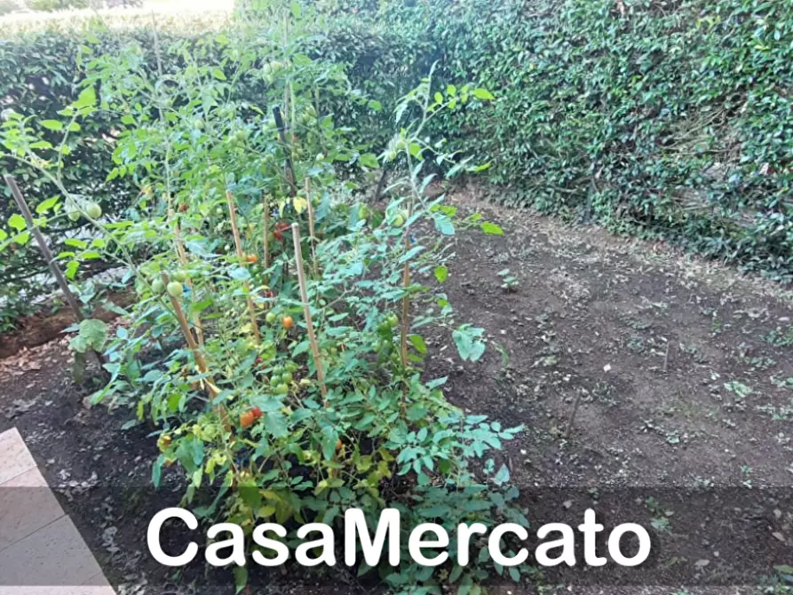 Immagine 19 di Bilocale in vendita  a Rocca Di Papa