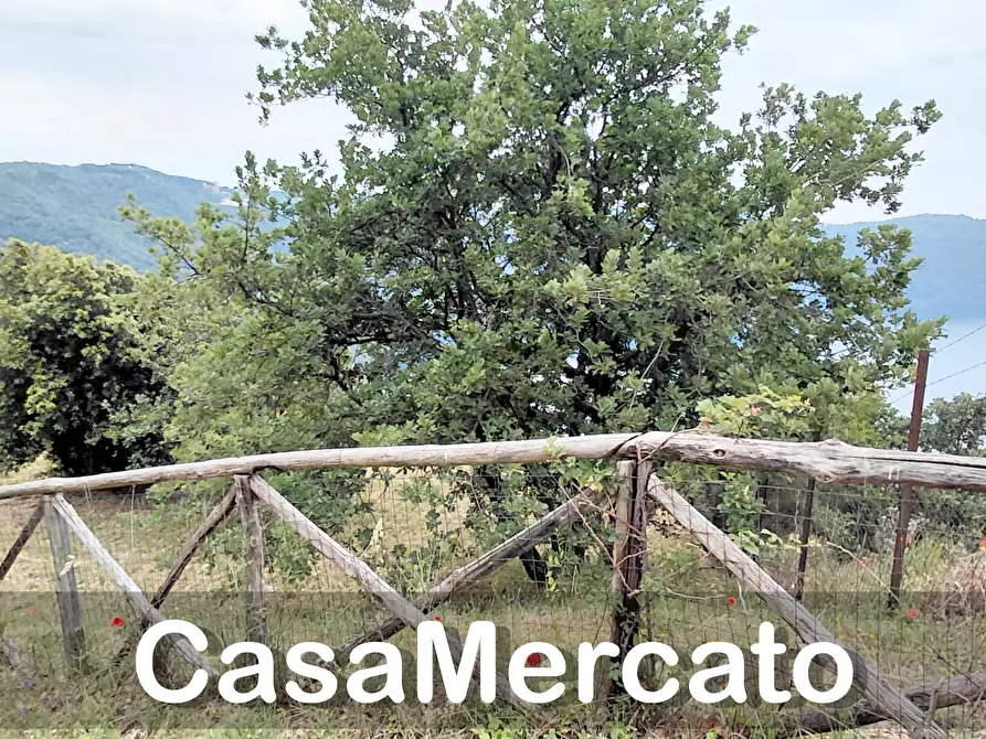 Immagine 10 di Terreno agricolo in vendita  a Rocca Di Papa