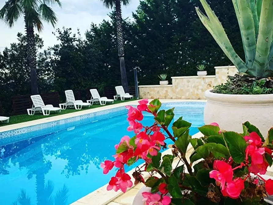 Immagine 2 di Casa indipendente in vendita  a Morro D'oro