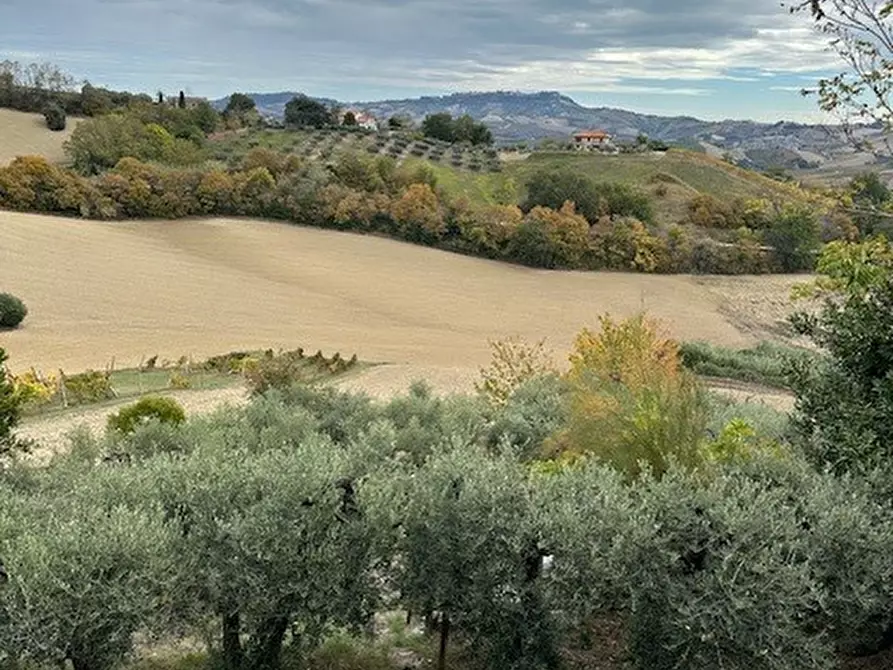 Immagine 41 di Casa bifamiliare in vendita  a Carassai