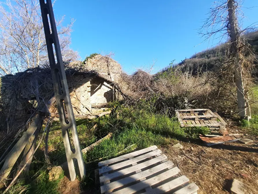 Immagine 14 di Casa indipendente in vendita  in cantina Cocci Grifoni a Ripatransone