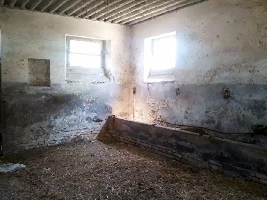 Immagine 11 di Rustico / casale in vendita  a Offida