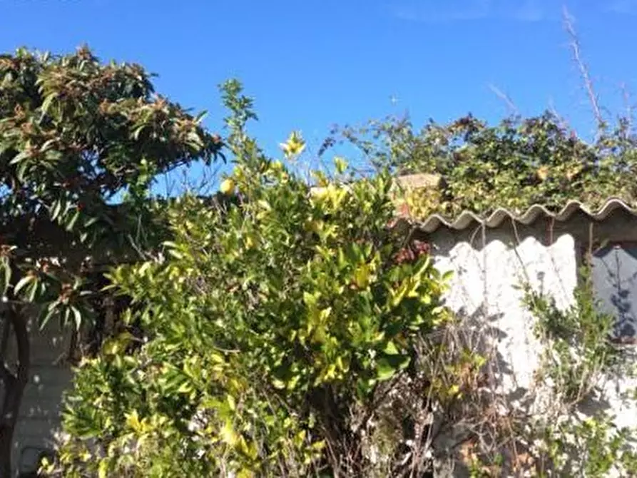 Immagine 3 di Rustico / casale in vendita  a San Benedetto Del Tronto